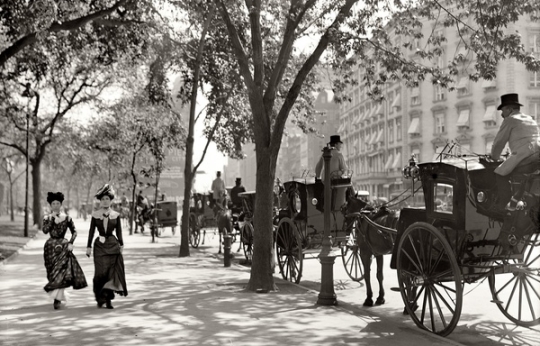 Taxi Cabs on Madison Avenue, 1900